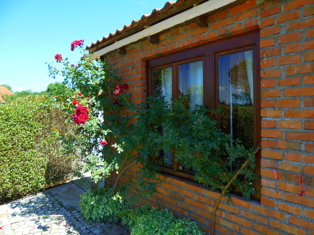 Markov Konak Guest House