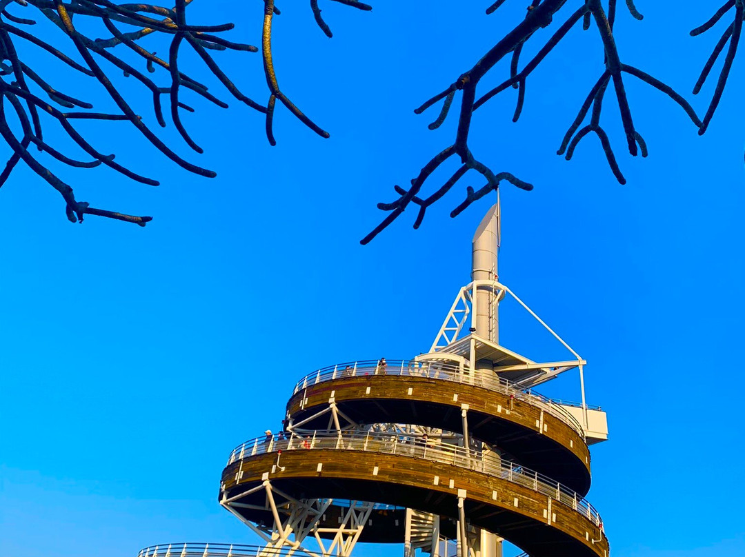 大埔海滨公园-香港必去景点