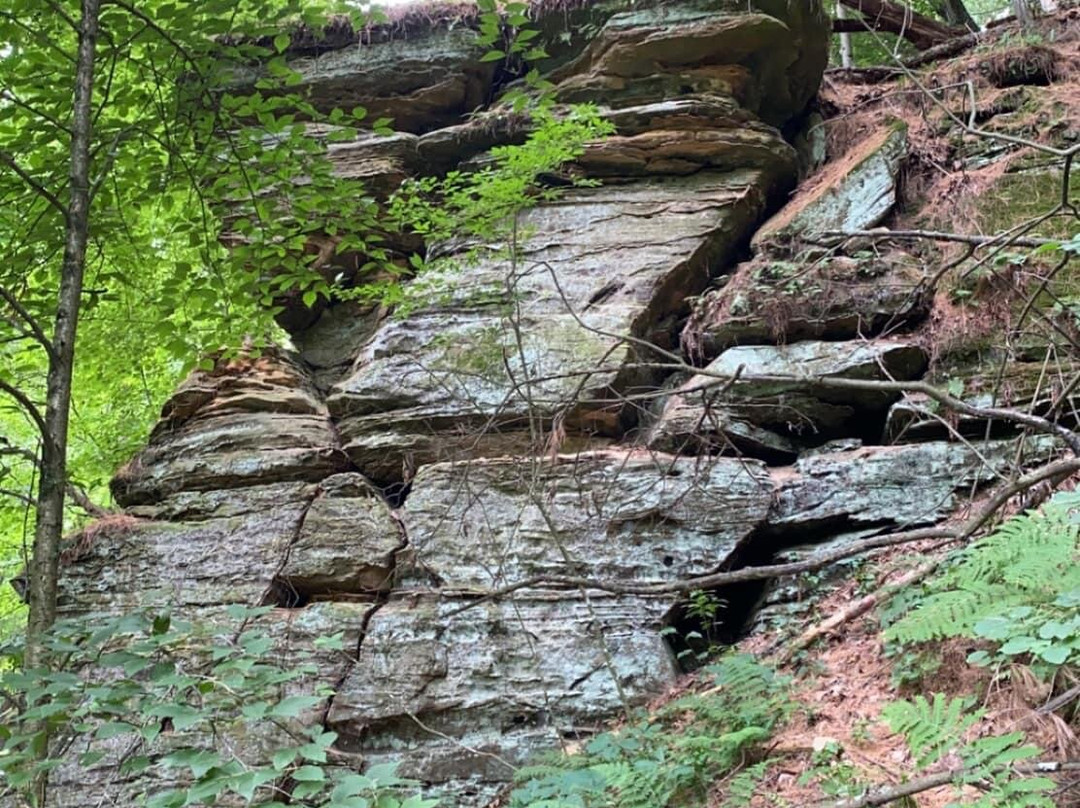 Rocky Arbor State Park景点图片