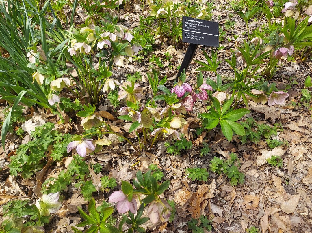 The Holden Arboretum-Kirtland必去景点