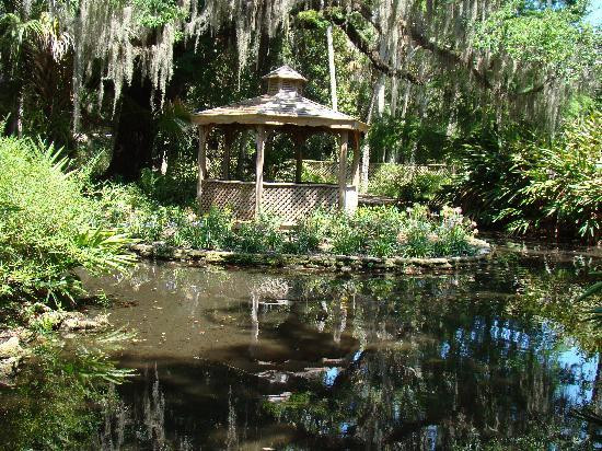 Washington Oaks Gardens State Park-棕榈海岸必去景点