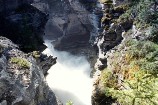 阿萨巴斯卡瀑布观景点-贾斯珀必去景点