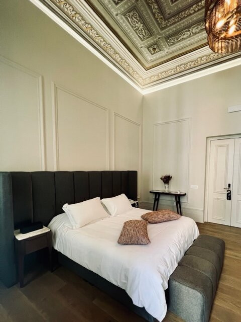 Castro Hotel Syros主图