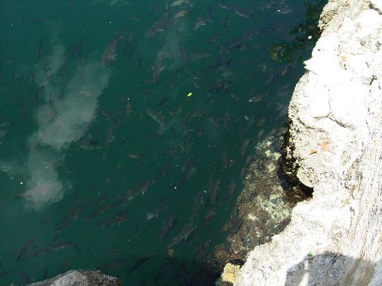 Ocean Hole景点图片