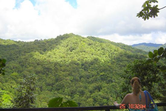 Emerald Pool-Morne Trois Pitons National Park必去景点
