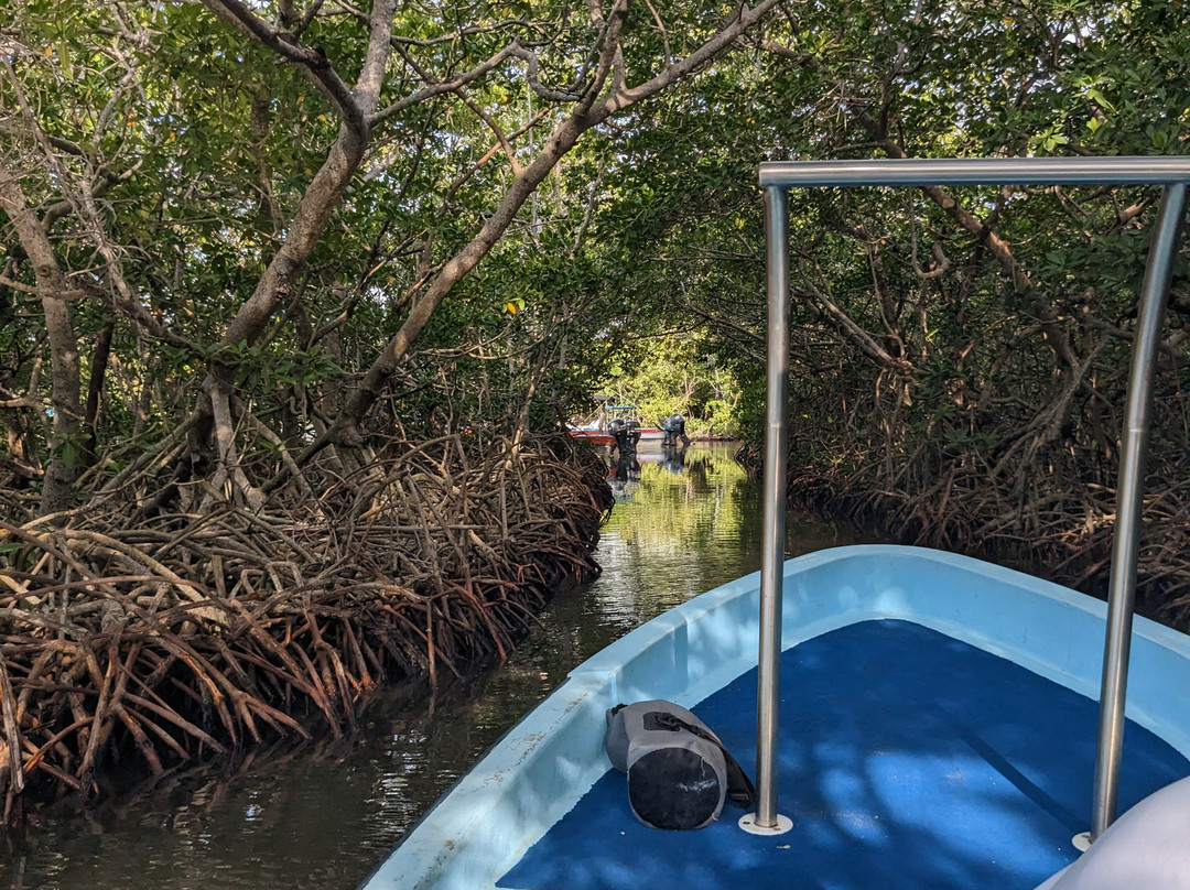 Victor's Fly Fishing Club-Punta Allen必去景点