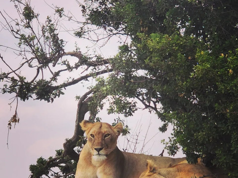 Marmara Holidays-Dar es Salaam必去景点