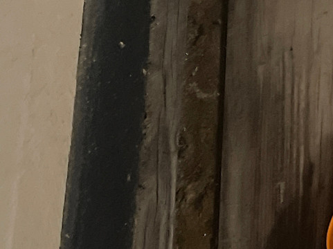 Super 8 by Wyndham Rahway/Newark主图