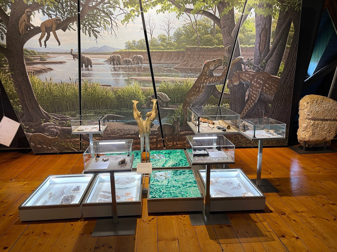 Ries Crater Museum-讷德林根必去景点