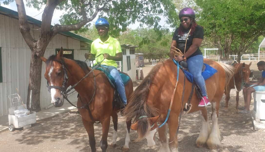 Codrington Riding Stables-Waterford必去景点