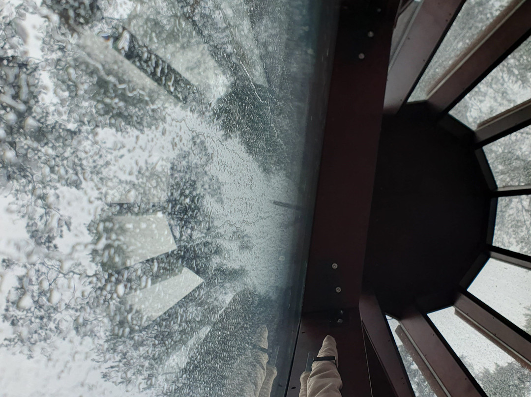 PARUS Medical Resort & Spa主图