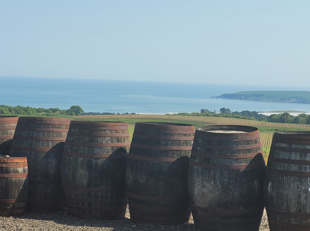 Arbikie Distillery景点图片