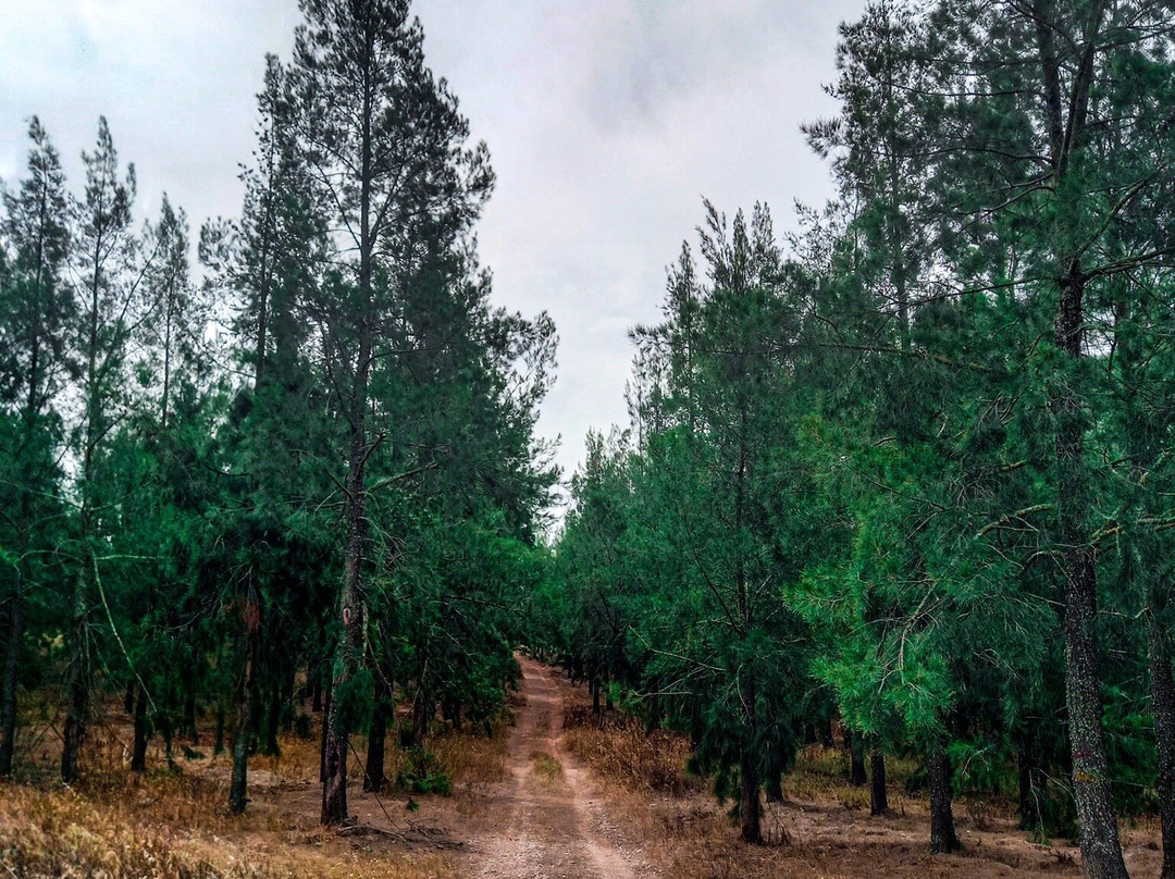 Herdade Do Rio Torto主图