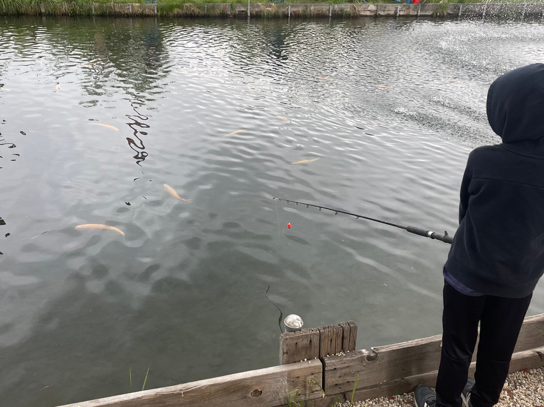 Tahoe Trout Farm-南太浩湖必去景点