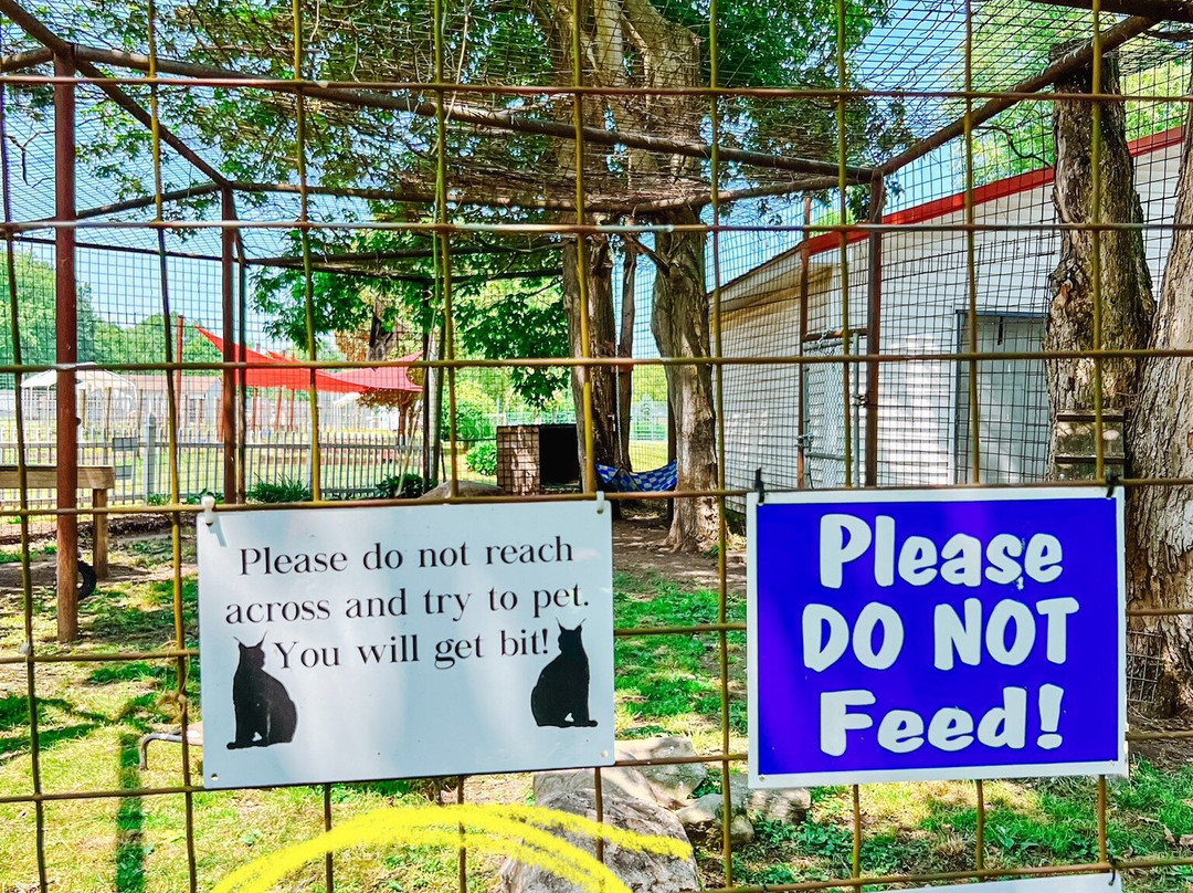 Noah's Lost Ark, Inc.-Berlin Center必去景点