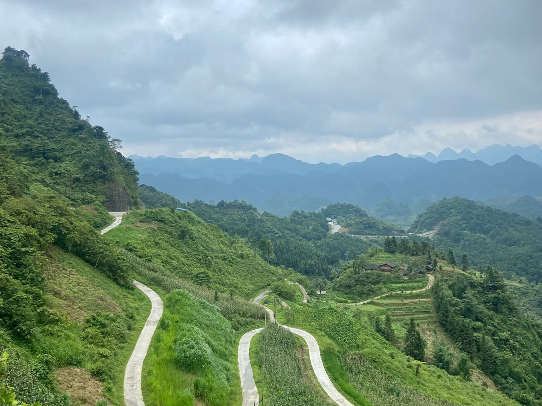 QT Motorbikes and Tours景点图片