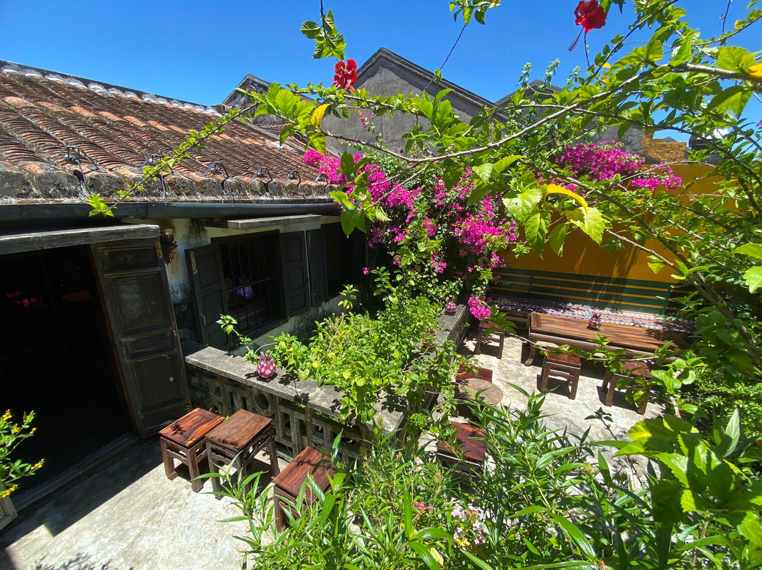 Dau An Phương Dong Official