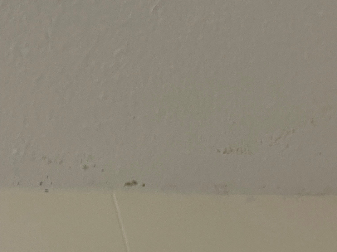 Hampton Inn Debary Deltona主图