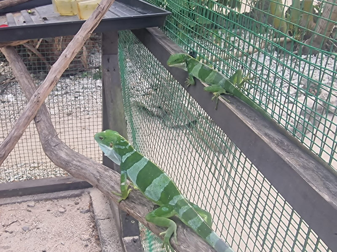 The Reef Vanuatu Zoological-Eratap必去景点