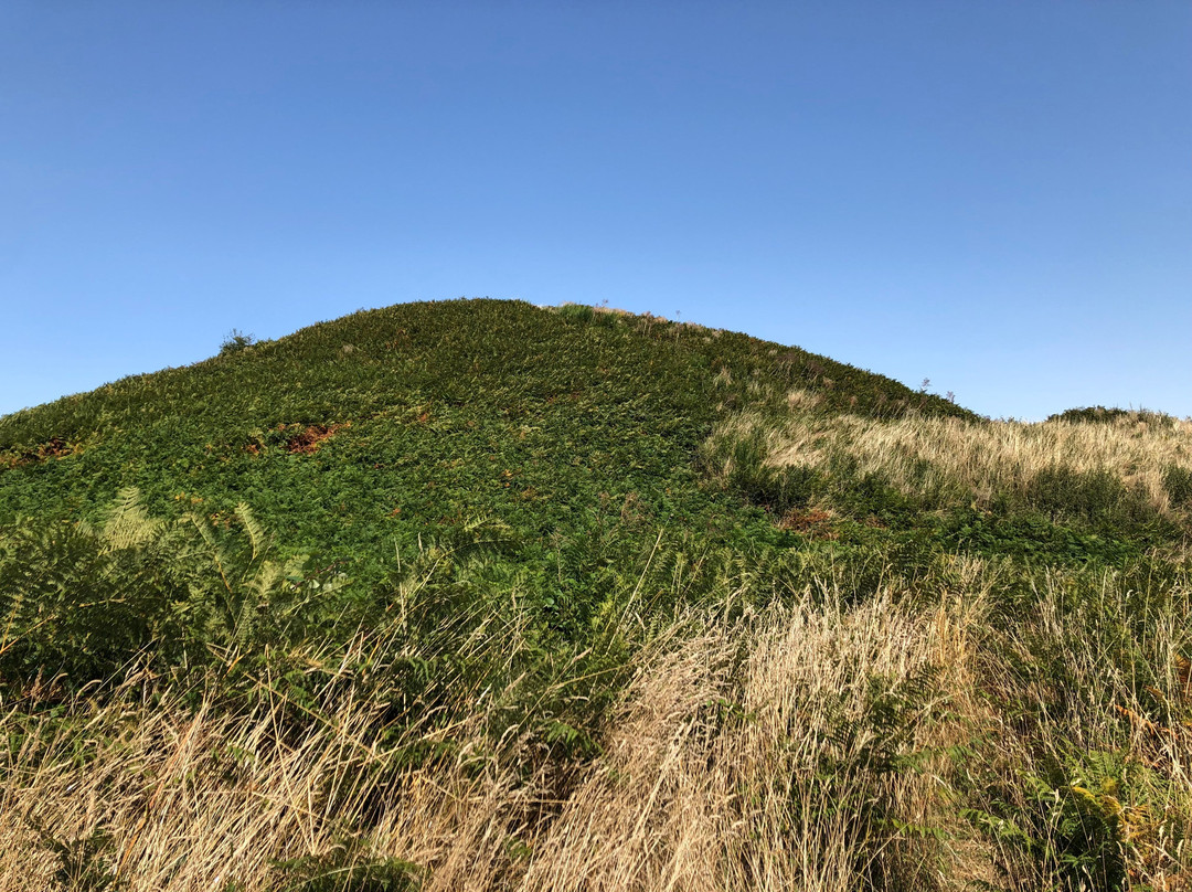 Butte de Cesar - Tumulus de Tumiac-Arzon必去景点