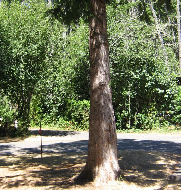 William M. Tugman State Park-Lakeside必去景点