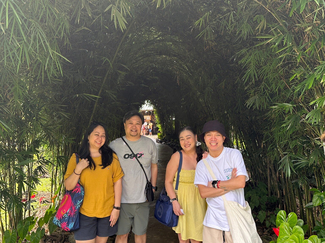 ALBRESSA Travel
