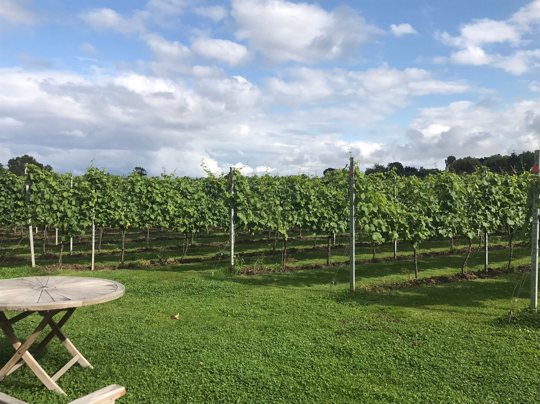 Dunesforde Vineyard-约克必去景点