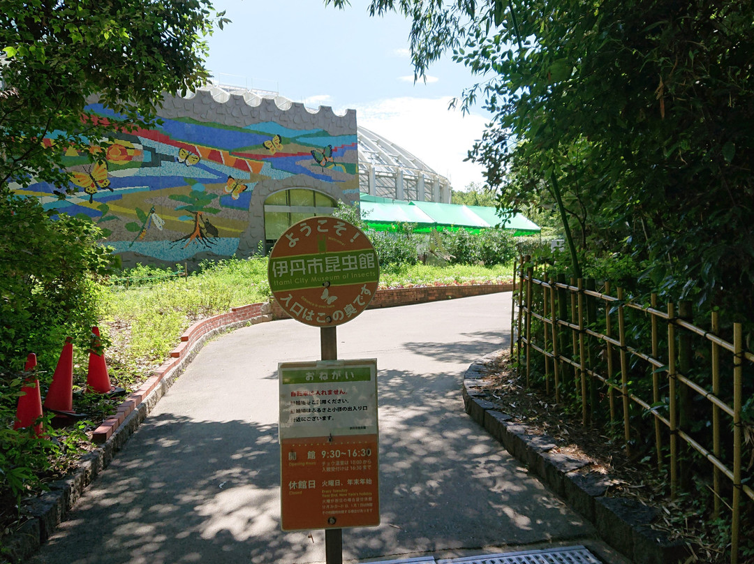 Itami City Museum of Insects-伊丹市必去景点