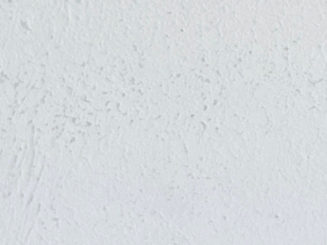 皇宫大酒店主图