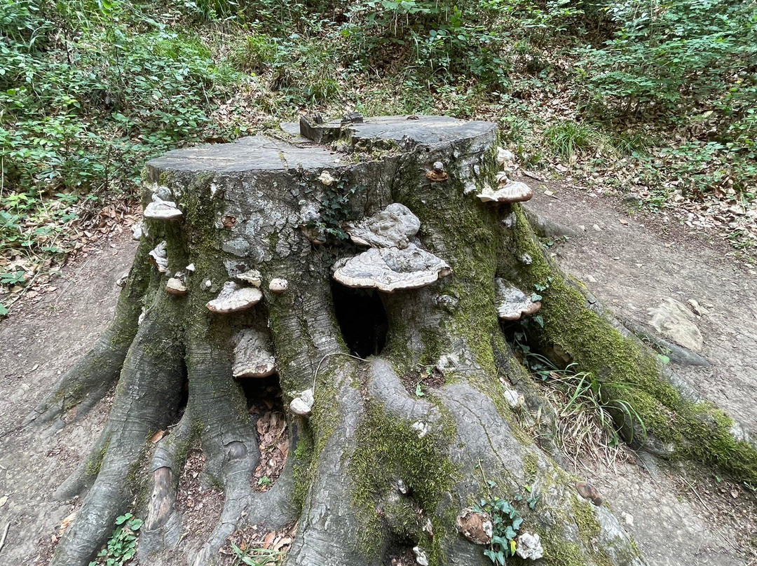 Nacedero del Urederra-Baquedano必去景点