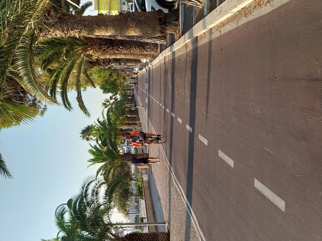 Il lungomare Sirena景点图片