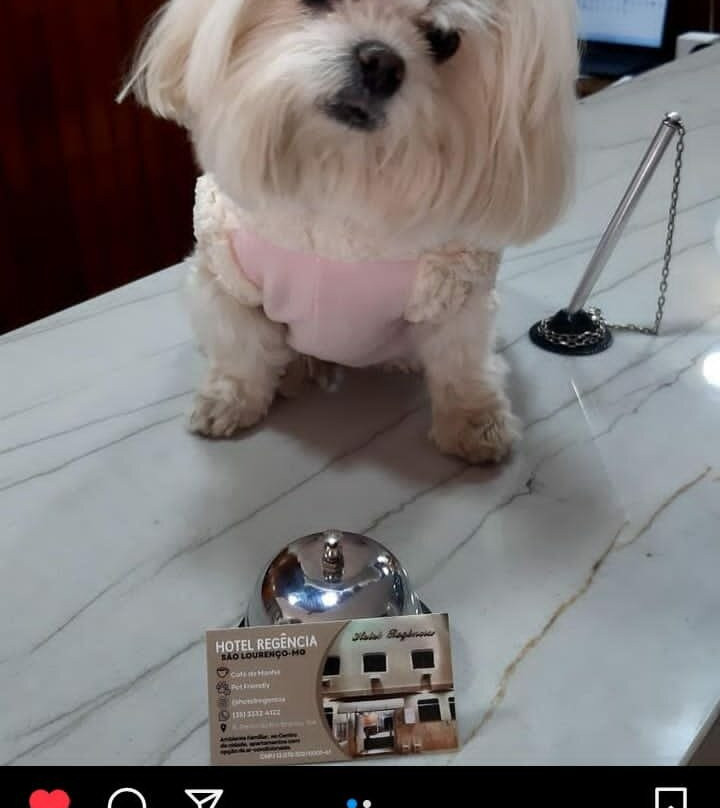 Hotel Regencia主图