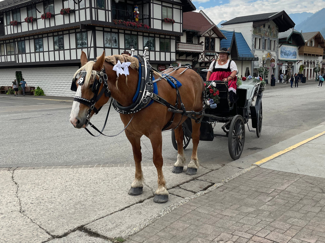 巴伐利亚旅舍主图