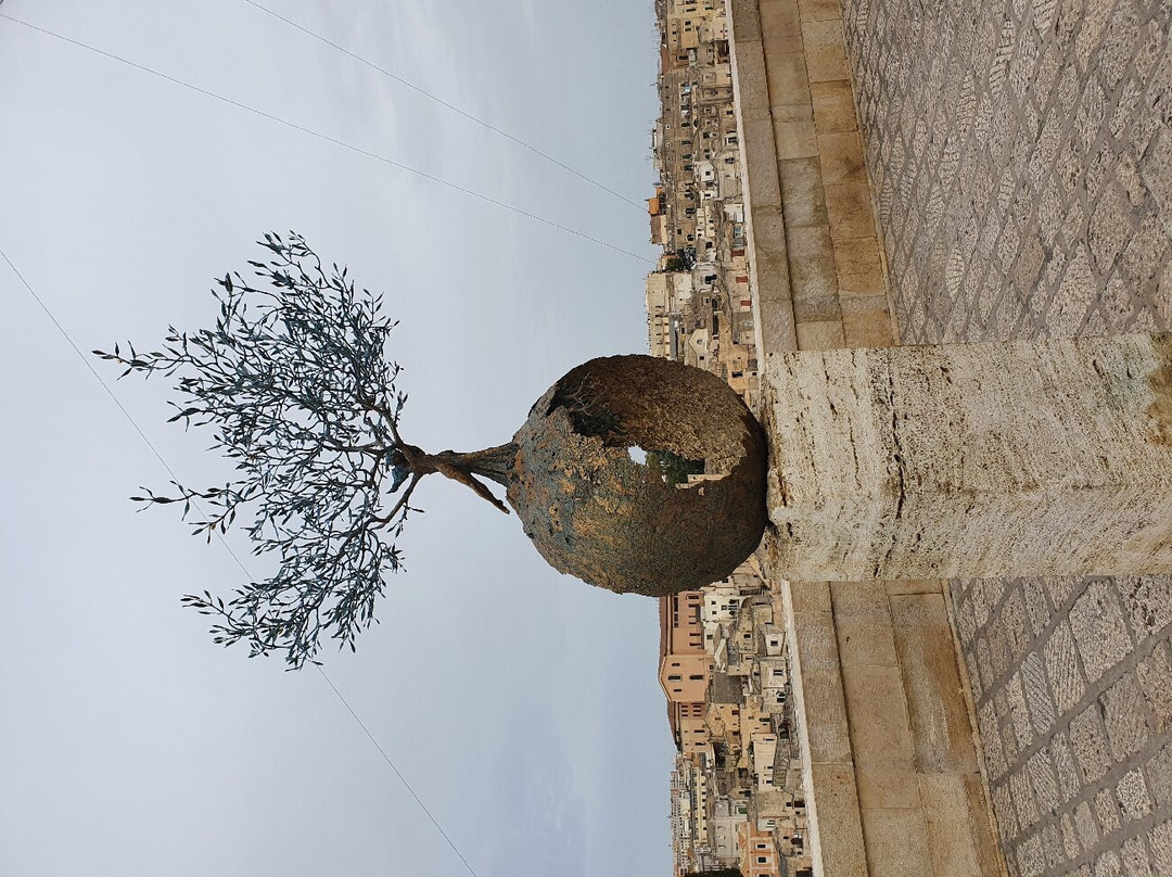 Matera Taxi-马泰拉必去景点