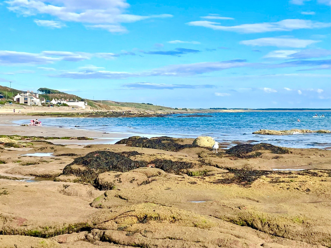Lower Largo Beach-Lower Largo必去景点