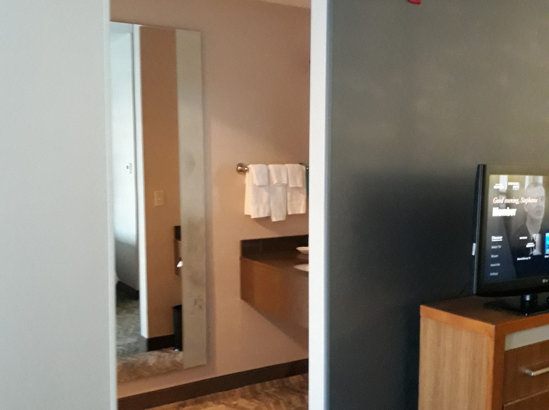 弗兰肯默斯万豪SpringHill Suites 酒店主图