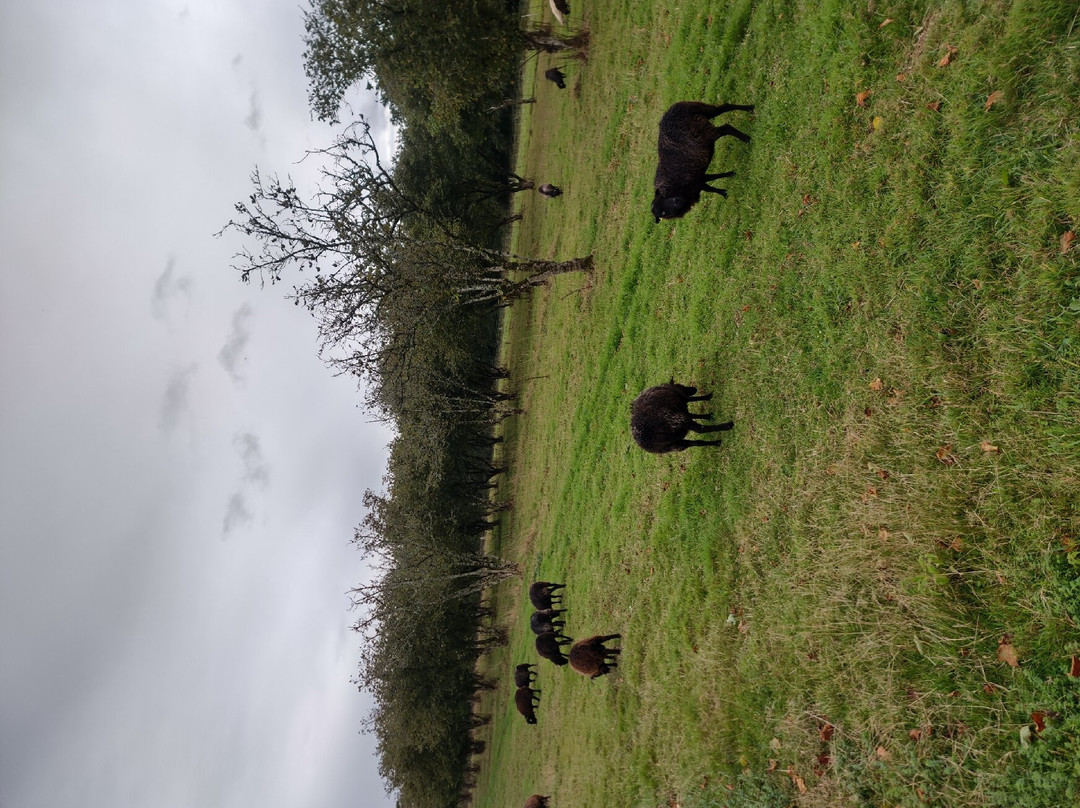 Domaine de Kervennec主图