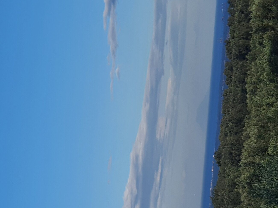 Uliveto Principessa主图