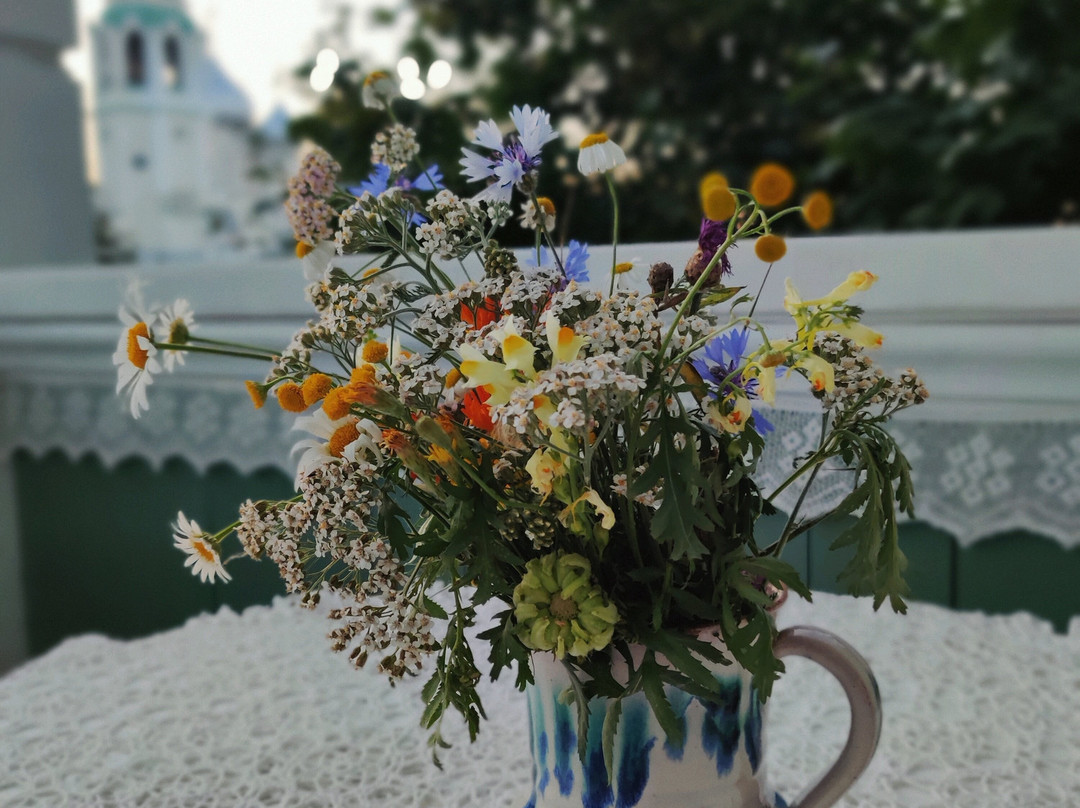 Dom S Dobrom-Vologda必去景点