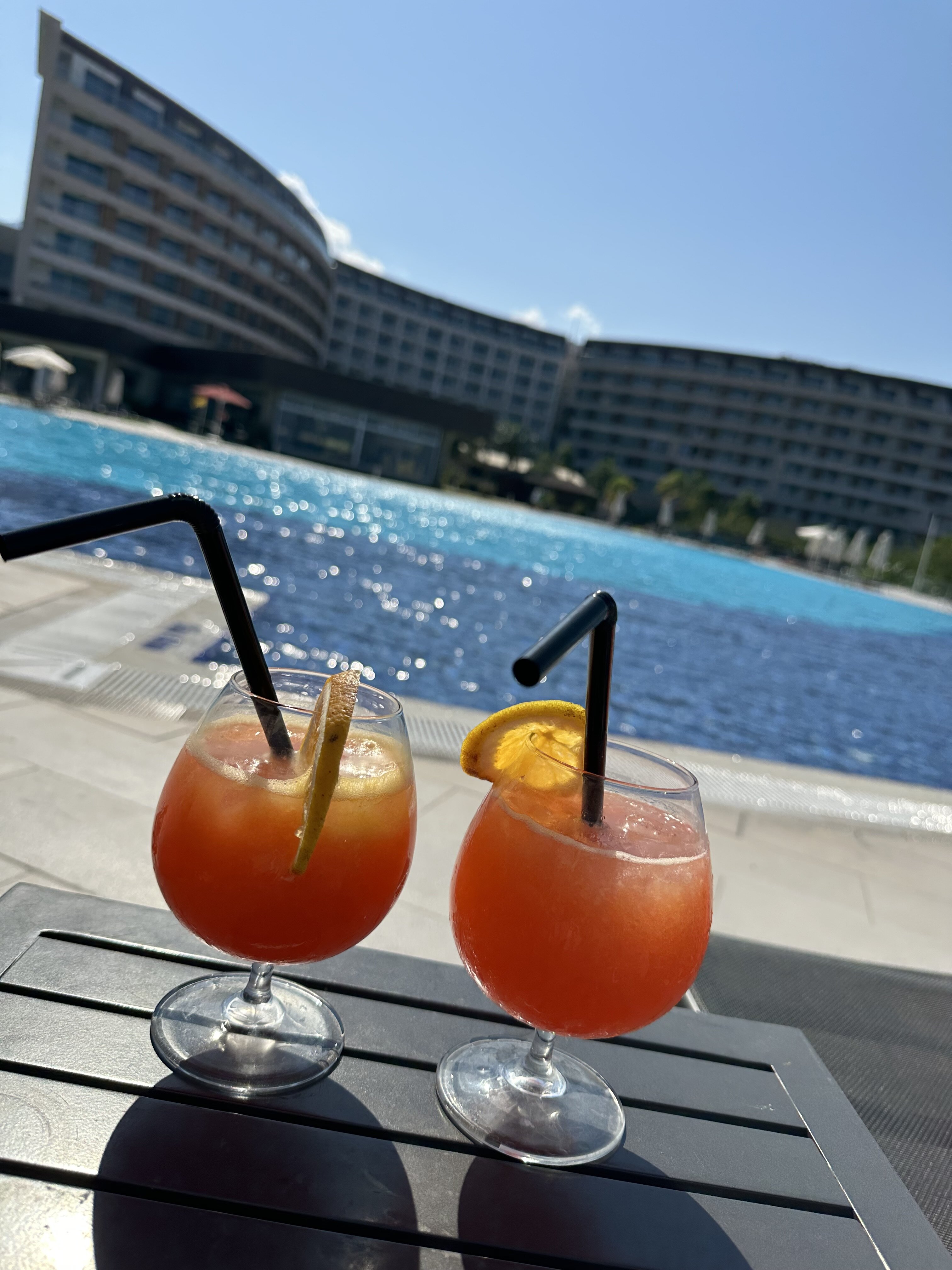 Elexus Hotel & Resort & Spa-泳池