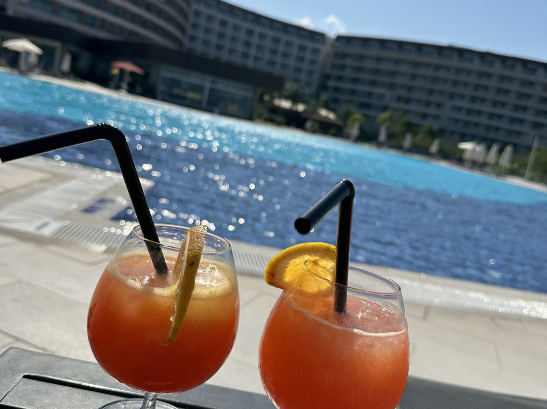 Elexus Hotel & Resort & Spa主图