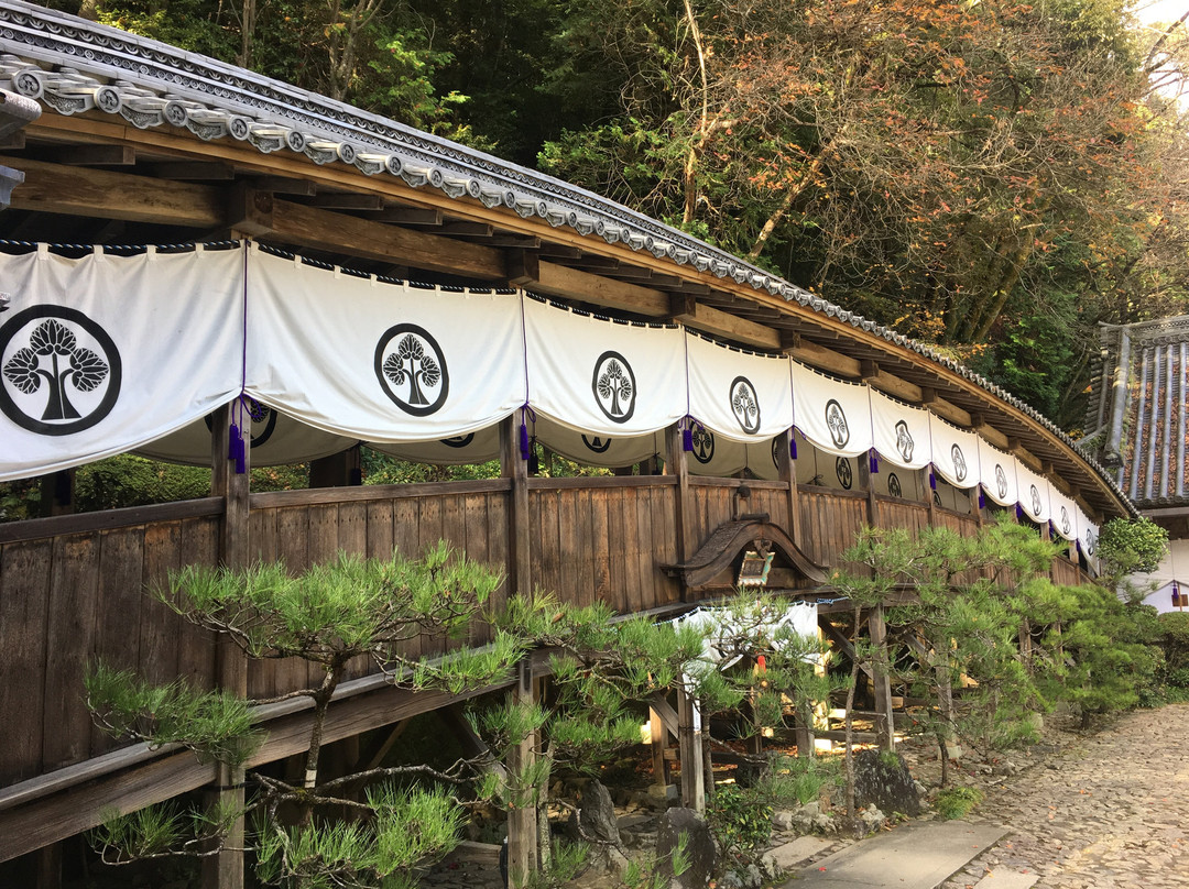 Anyo Temple / Tachikikannon-大津市必去景点