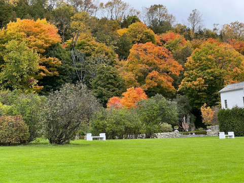 Market Street Inn主图