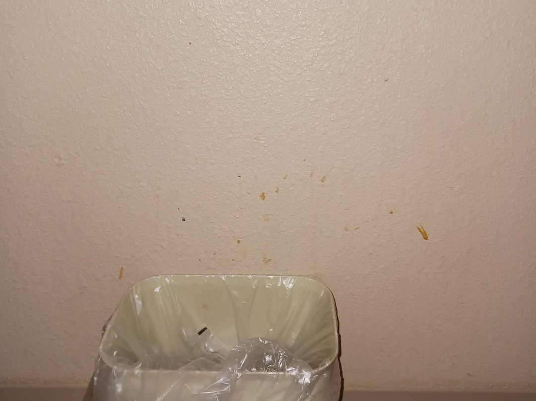 Microtel Inn & Suites by Wyndham Walterboro主图