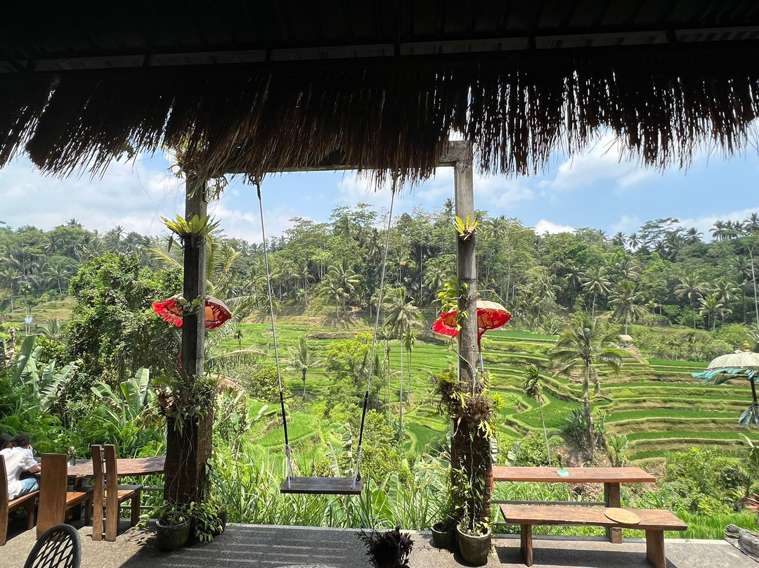 Smile Bali Tours-水明漾必去景点