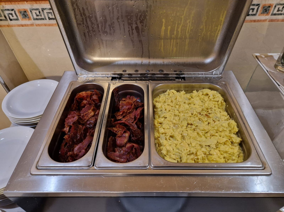 莱尼亚诺皇宫酒店主图