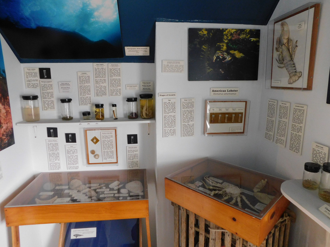 Monhegan Museum景点图片