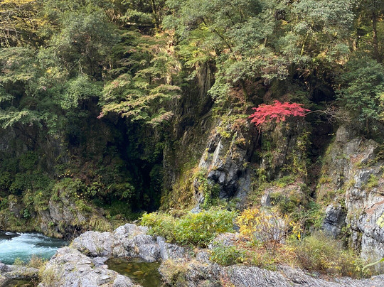 Hatonosu Valley-奥多摩町必去景点
