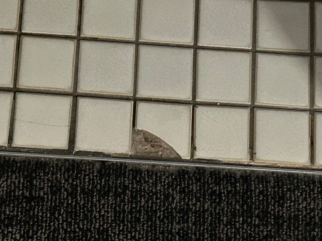 Cronulla Motor Inn主图