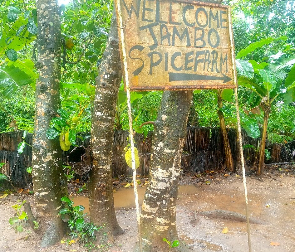 Jambo Spice Farm景点图片